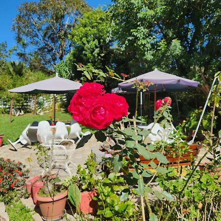 Kitnet No Sul De Minas Villa Soledade de Minas Ngoại thất bức ảnh